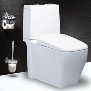 Bồn Cầu Hai Khối Nắp Êm - CD1346