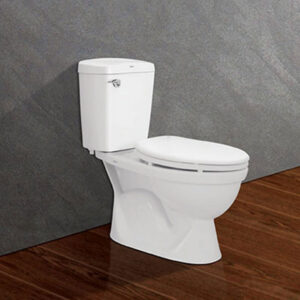 Bồn cầu hai khối VL 88