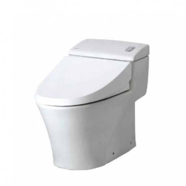 Bồn cầu một khối AC-1008VRN