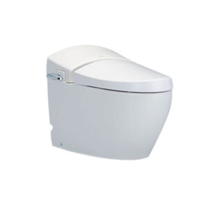 Bồn cầu một khối C10037 – Terranova