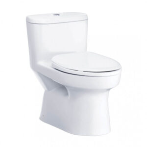 Bồn cầu một khối Macc C1015