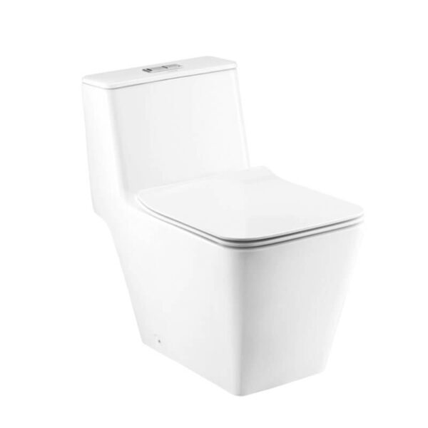 Bồn cầu một khối C10327 - Simply Modish