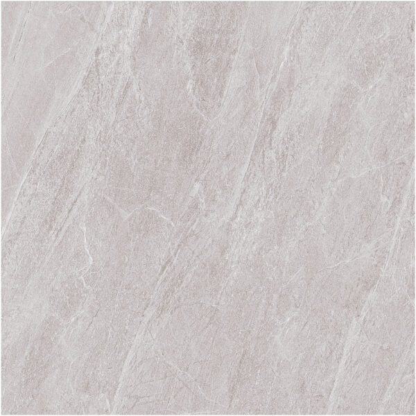 Gạch (60x60) FL6010 - Ảnh 10