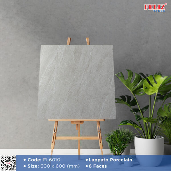 Gạch (60x60) FL6010 - Ảnh 2
