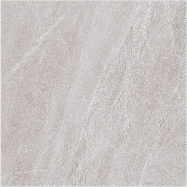 Gạch (60x60) FL6010 - Ảnh 9