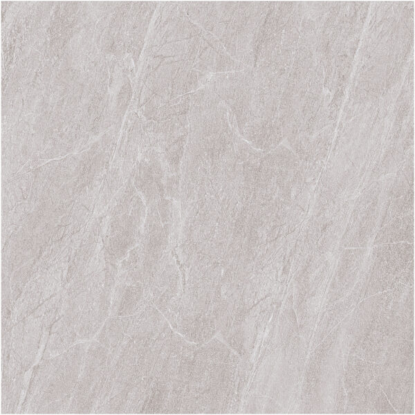Gạch (60x60) FL6010 - Ảnh 5