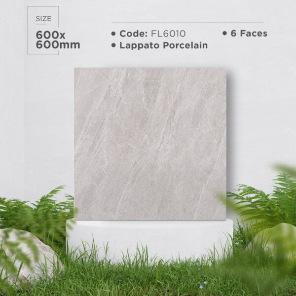 Gạch (60x60) FL6010