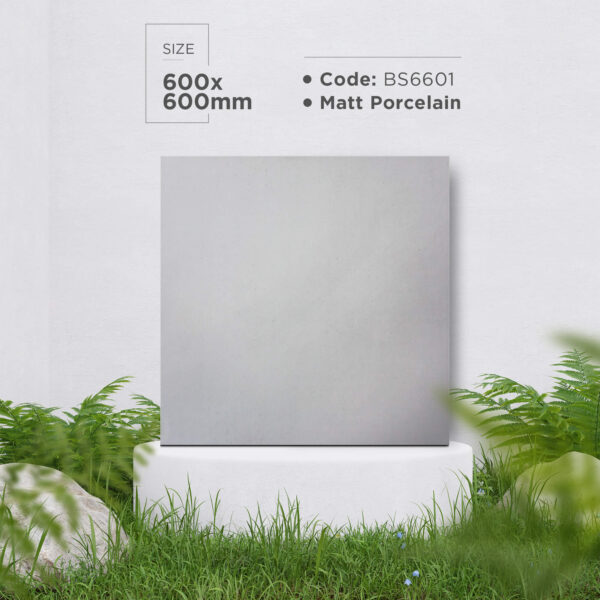 Gạch BS6601