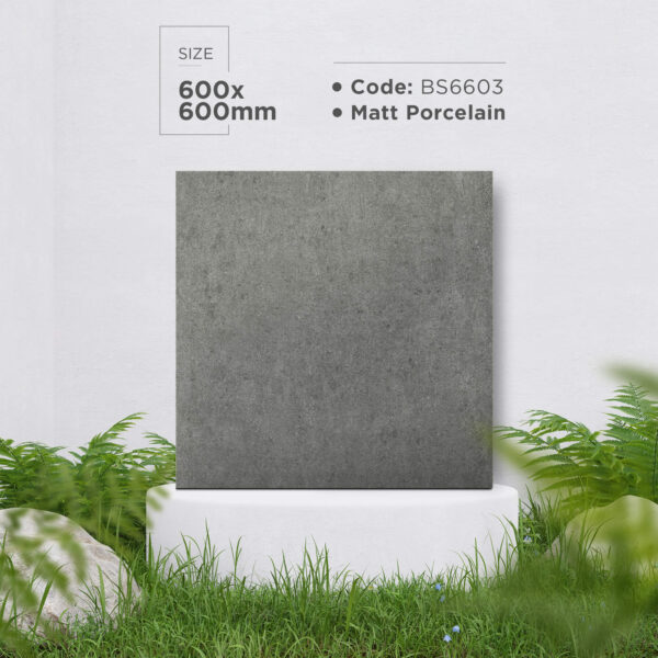 Gạch BS6603