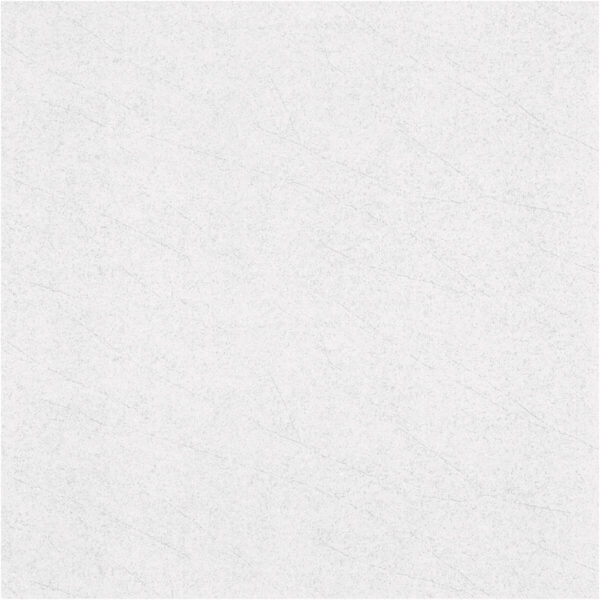 Gạch BS6605 - Hình ảnh 2