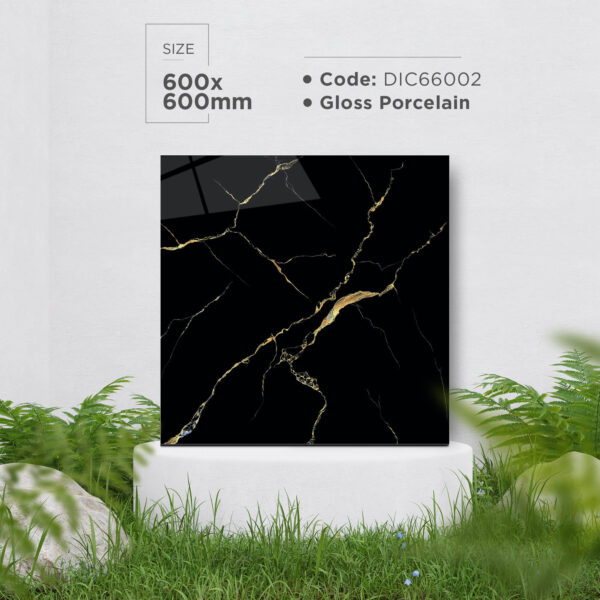 GẠCH DIC66002