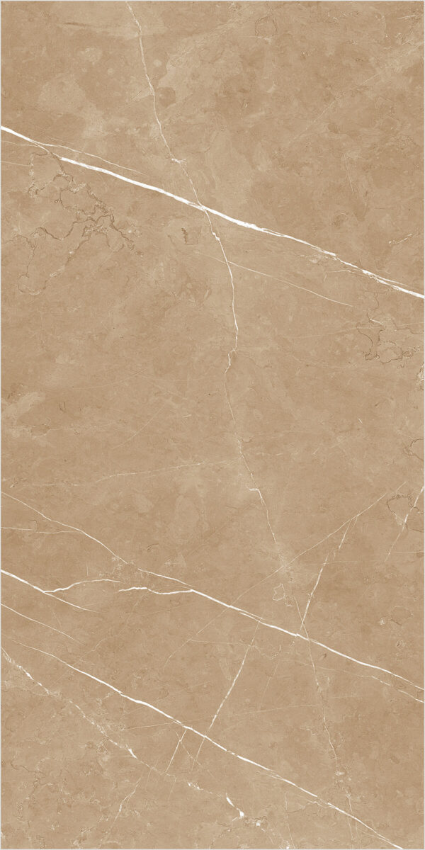 Gạch (60x120) 31054 - Ảnh 3