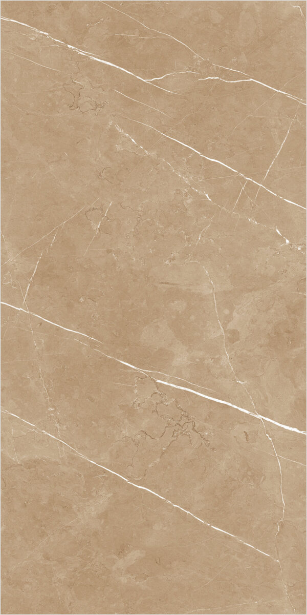 Gạch (60x120) 31054 - Ảnh 5