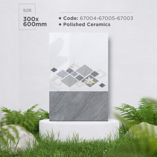 Gạch (30x60) 67004-67005-67003