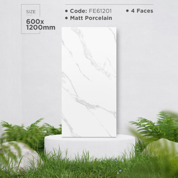Gạch (60x120) FE61201