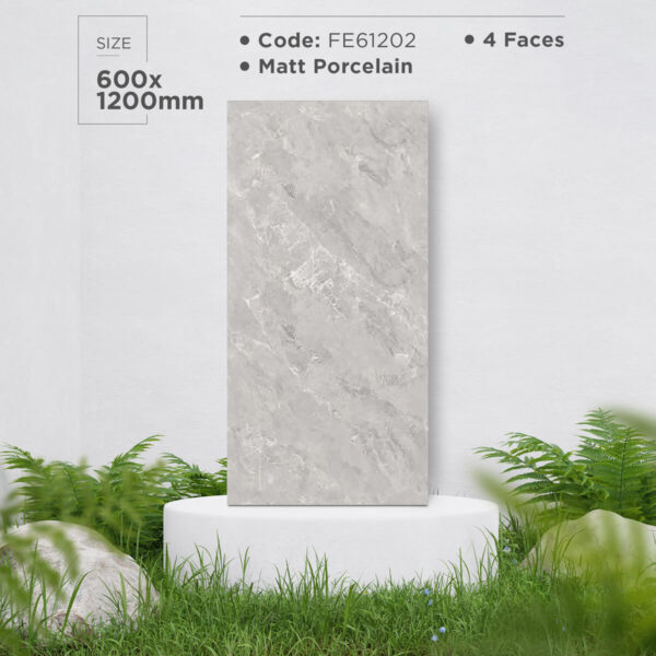 Gạch (60x120) FE61202