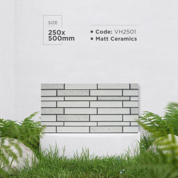 Gạch (25x50) VH2501