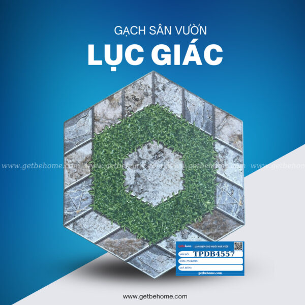 Gạch sân vườn lục giác TPDB4557