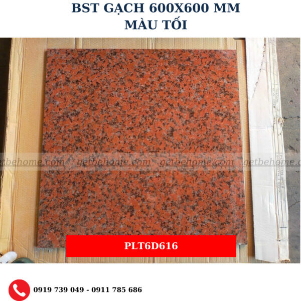 Gạch ốp lát (60x60) PLT6D616