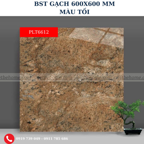 Gạch ốp lát (60x60) PLT6612