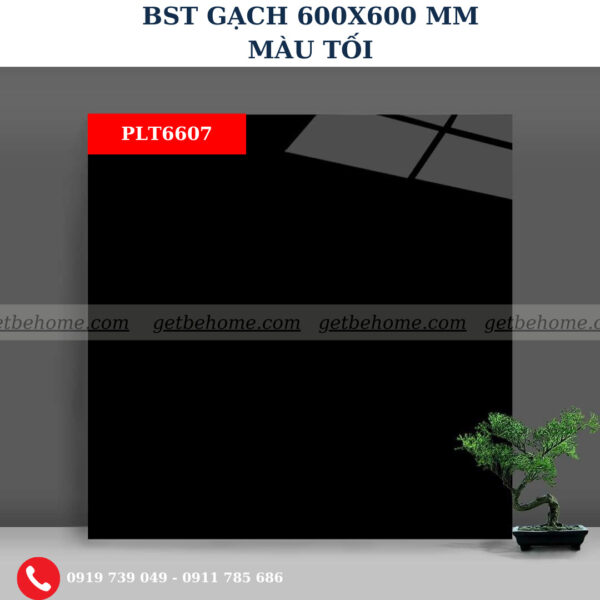 Gạch ốp lát (60x60) PLT6607