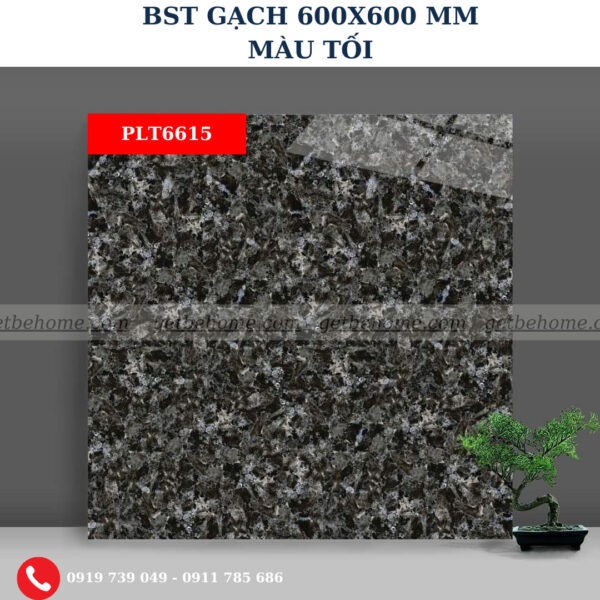 Gạch ốp lát (60x60) PLT6615