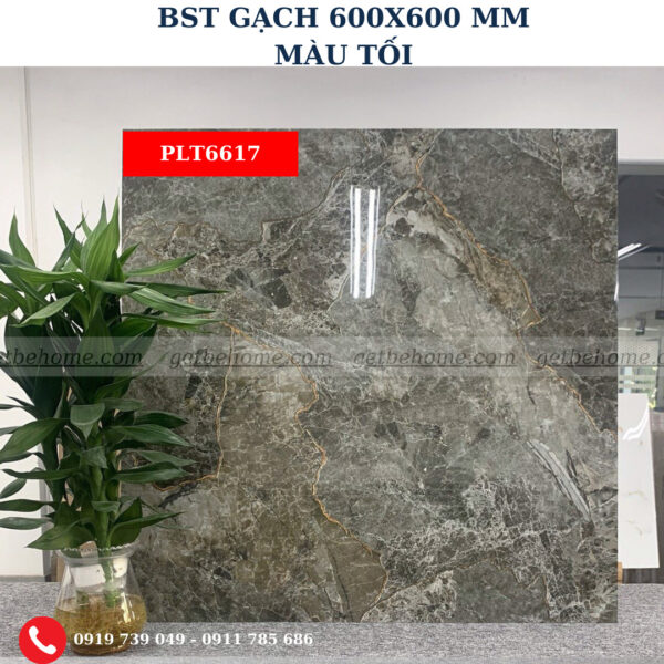 Gạch ốp lát (60x60) PLT6617