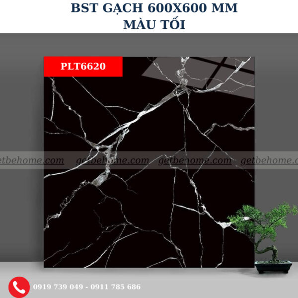 Gạch ốp lát (60x60) PLT6620