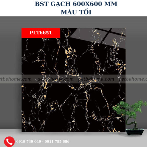 Gạch ốp lát (60x60) PLT6651