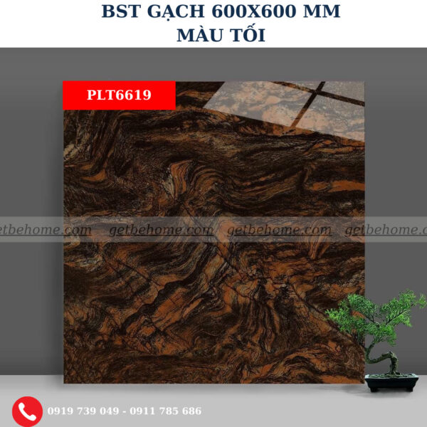 Gạch ốp lát (60x60) PLT6619