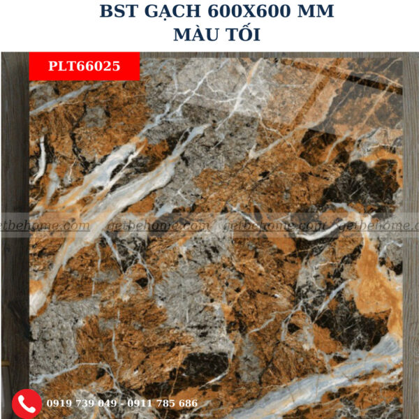 Gạch ốp lát (60x60) PLT66025