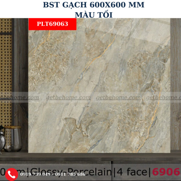 Gạch ốp lát (60x60) PLT69063