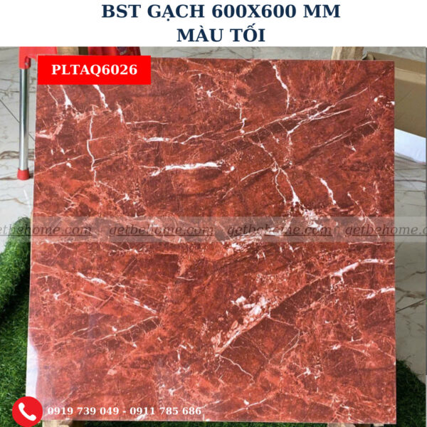 Gạch ốp lát (60x60) PLTAQ6026