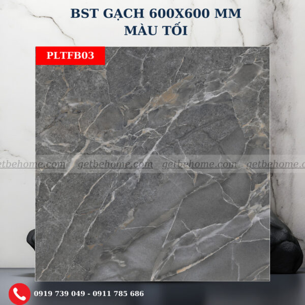 Gạch ốp lát (60x60) PLTFB03