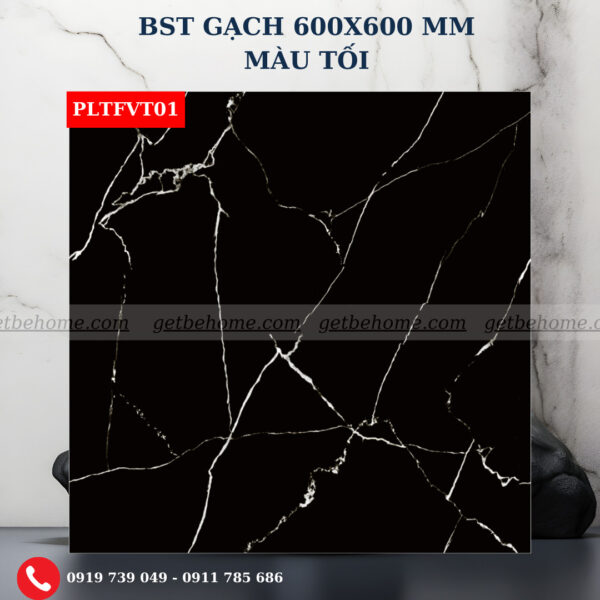 Gạch ốp lát (60x60) PLTFVT01