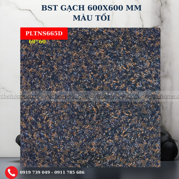 Gạch ốp lát (60x60) PLTNS665D