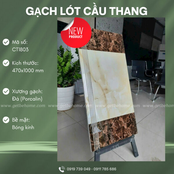 Gạch lát cầu thang (47x100) CT1803
