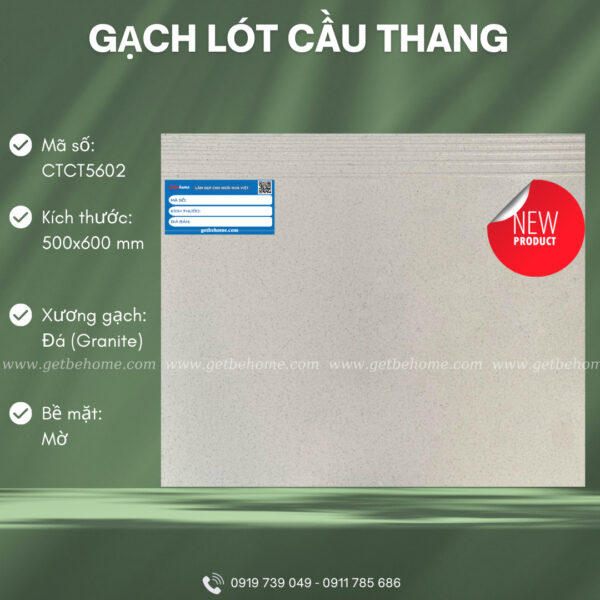 Gạch lát cầu thang (50x60) CTCT5602