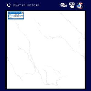 Gạch ốp lát (60x60) T6159