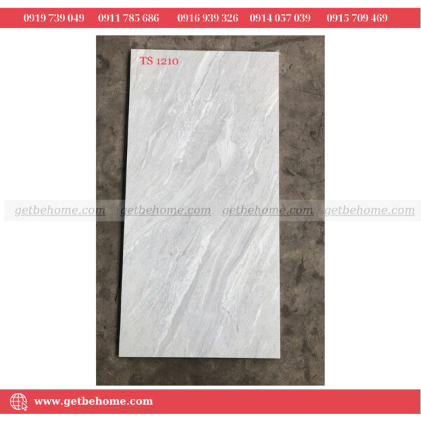 Gạch ốp lát (60x120) TS 1210