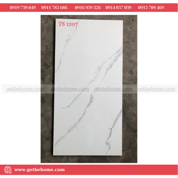 Gạch ốp lát (60x120) TS 1207