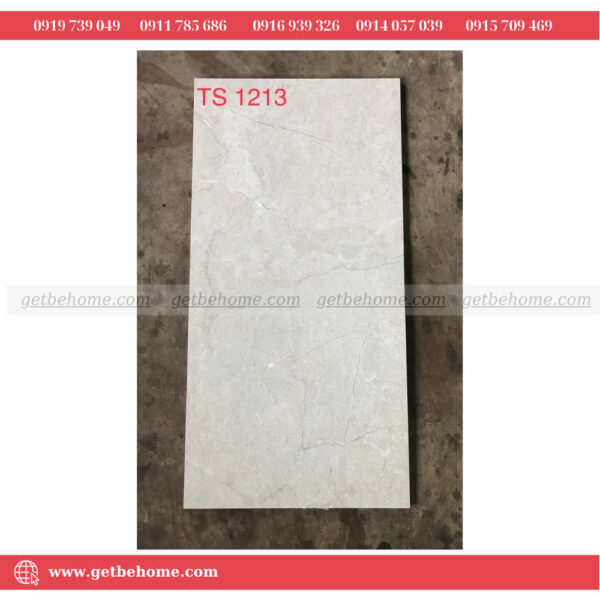 Gạch ốp lát (60x120) TS1213