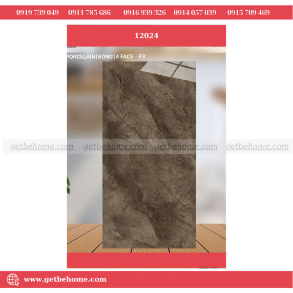 Gạch ốp lát (60x120) 12024