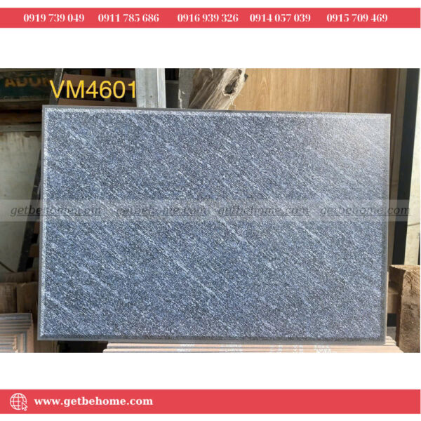 Gạch sân vườn (40x60) VM4601