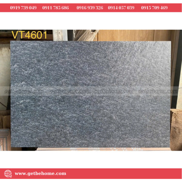 Gạch sân vườn (40x60) VT4601