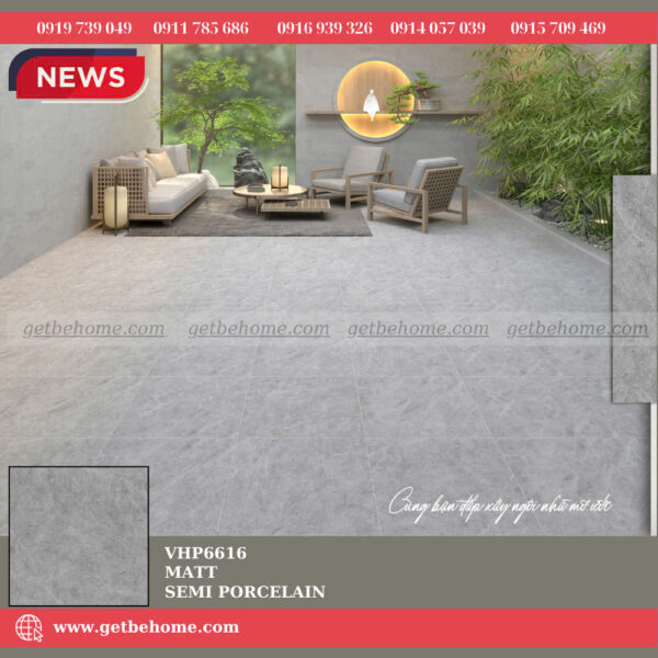 Gạch ốp lát (60x60) VHP6616