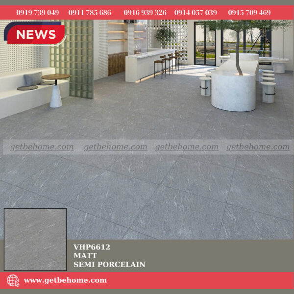 Gạch ốp lát (60x60) VHP6612