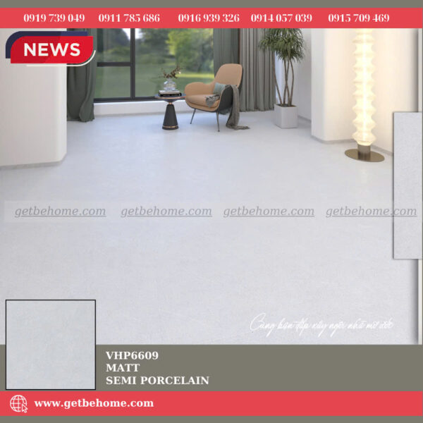 Gạch ốp lát (60x60) VHP6609