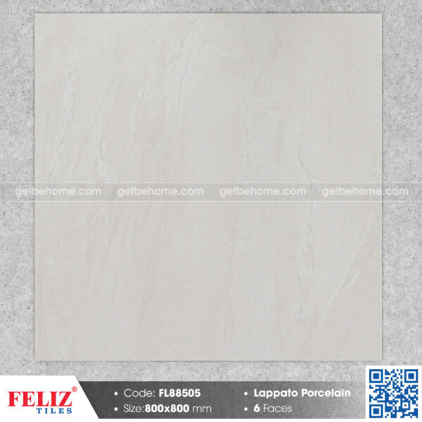 Gạch ốp lát (80x80) FL88606