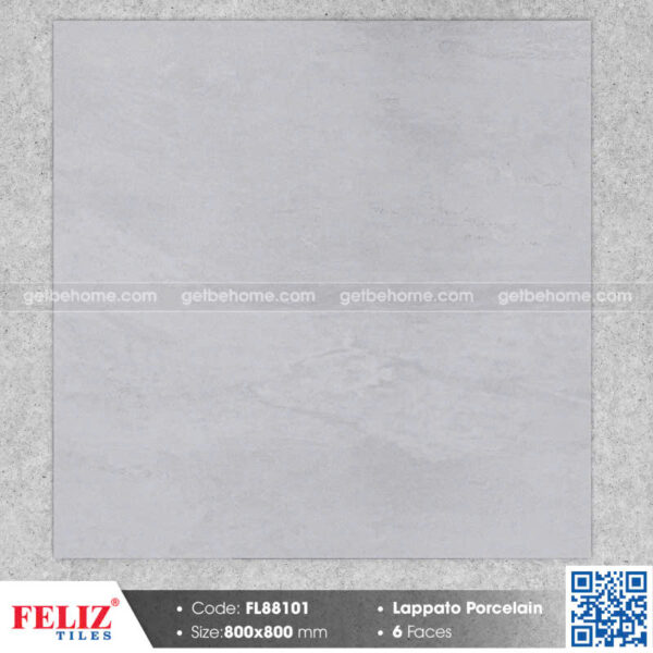 Gạch ốp lát (80x80) FL88101